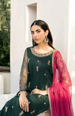 Zarif - Arzu - Embroidered Net - RAYA