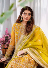Akbar Aslam - Embellished Organza - Rohi