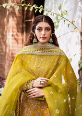 Akbar Aslam - Embellished Organza - Rohi