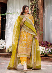 Akbar Aslam - Embellished Organza - Rohi