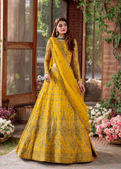 Akbar Aslam - Embroidered Net - Shehernaz