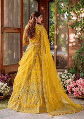 Akbar Aslam - Embroidered Net - Shehernaz