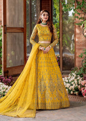 Akbar Aslam - Embroidered Net - Shehernaz