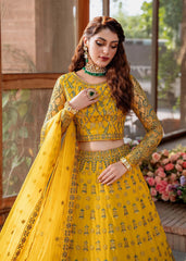 Akbar Aslam - Embroidered Net - Shehernaz