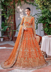 Akbar Aslam - Embroidered Net - Mahjabeen