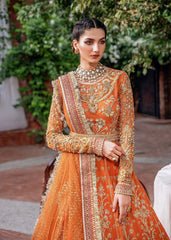 Akbar Aslam - Embroidered Net - Mahjabeen