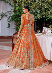 Akbar Aslam - Embroidered Net - Mahjabeen