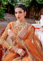 Akbar Aslam - Embroidered Net - Mahjabeen