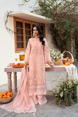 Naqsh - Lawn - Chikankari Festive - Peach Blossom - 00194