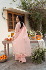 Naqsh - Lawn - Chikankari Festive - Peach Blossom - 00194