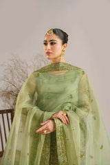 Akbar Aslam - Embroidered Organza - Fareena