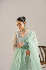 Akbar Aslam - Embellished Organza - Nimira