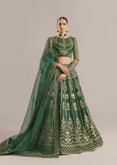 Akbar Aslam - Embroidered Organza - Shahul