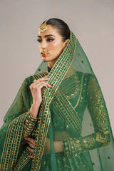 Akbar Aslam - Embroidered Organza - Shahul