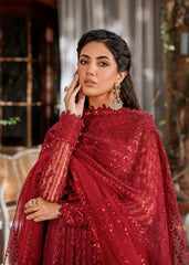 Akbar Aslam - Embellished Net - Gul Mohr