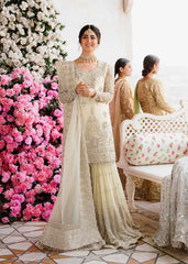 Akbar Aslam - Embellished Chiffon - Nahla