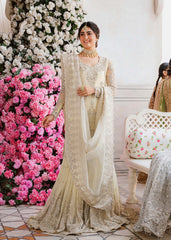Akbar Aslam - Embellished Chiffon - Nahla
