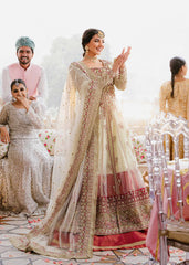 Akbar Aslam - Embellished Net - Kaneel