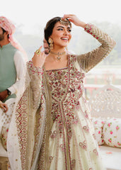 Akbar Aslam - Embellished Net - Kaneel