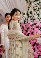 Akbar Aslam - Embellished Net - Kaneel