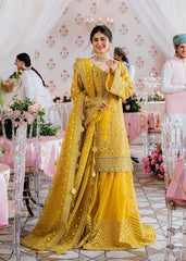 Akbar Aslam - Embellished Organza - Meena