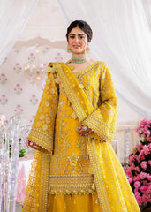 Akbar Aslam - Embellished Organza - Meena