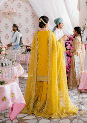 Akbar Aslam - Embellished Organza - Meena