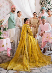 Akbar Aslam - Embellished Organza - Meena