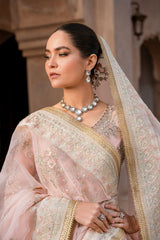 Inara - Aurelia Embroidered Organza - Celestia