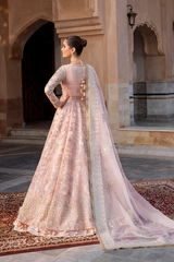 Inara - Aurelia Embroidered Organza - Celestia