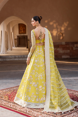Inara - Aurelia Embroidered Organza - Lumique
