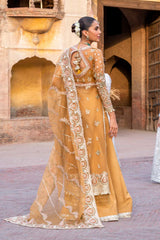 Afrozeh - Dastangoi - Embroidered Organza - Shafaq