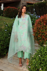 Haniya