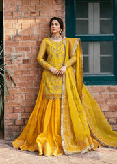 Akbar Aslam - Embellished Organza - Cailin