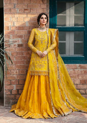 Akbar Aslam - Embellished Organza - Cailin