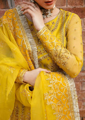 Akbar Aslam - Embellished Organza - Cailin