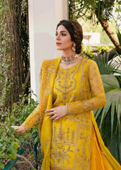 Akbar Aslam - Embellished Organza - Cailin