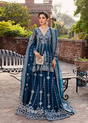 Akbar Aslam - Embellished Organza - Nayara