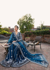 Akbar Aslam - Embellished Organza - Nayara