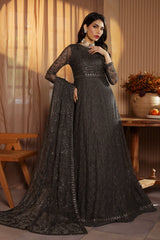 Zarif - Nauroz - Embroidered Net - ZFN-06 DAREEN