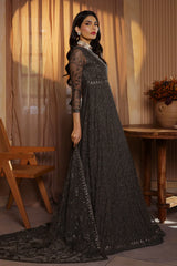Zarif - Nauroz - Embroidered Net - ZFN-06 DAREEN