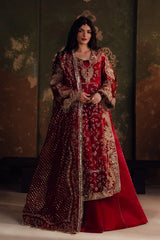 Zarposh - Jahanara Embroidered Organza - Sitara