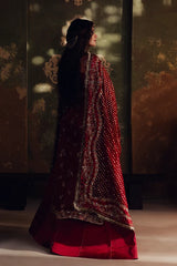Zarposh - Jahanara Embroidered Organza - Sitara