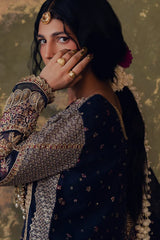 Zarposh - Jahanara Embroidered Organza - Ferozah