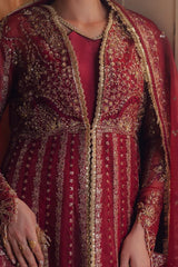 Zarposh - Jahanara Embroidered Organza - Mehrunisa