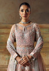 ZYRA - DIWANI - EMBROIDERED NET - GLAMOROUS