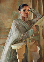 Zyra - Diwani Embellished Net - SAROSH