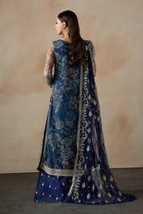 Zarif - Embroidered Net - ZRF-PE-04 VIRSA