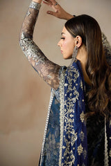Zarif - Embroidered Net - ZRF-PE-04 VIRSA