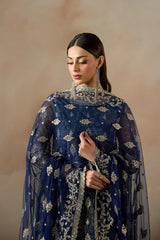 Zarif - Embroidered Net - ZRF-PE-04 VIRSA
